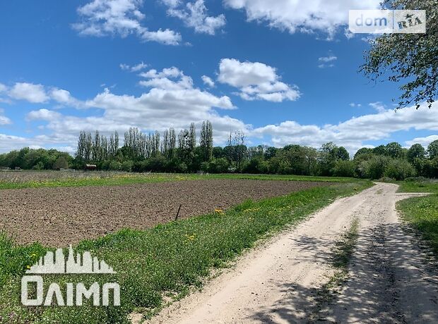 Земля під житлову забудову в селі Лука-Мелешківська, площа 15 соток фото 1 Земля під житлову забудову в селі Лука-Мелешківська, площа 15 соток фото 1