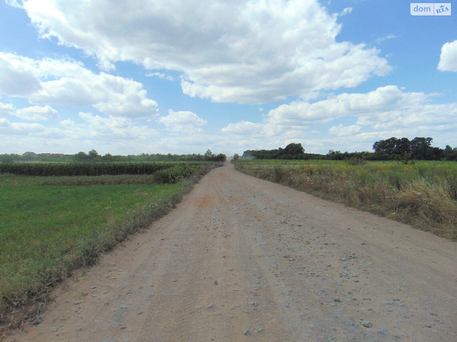 Земельна ділянка під житлову забудову в Луці-Мелешківській, площа 20 соток фото 1 Земельна ділянка під житлову забудову в Луці-Мелешківській, площа 20 соток фото 1