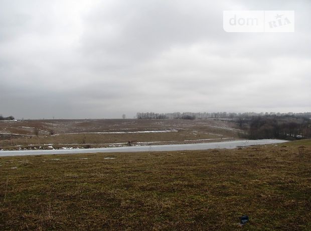 Земля под жилую застройку в селе Лысогора, площадь 60 соток фото 1 Земля под жилую застройку в селе Лысогора, площадь 60 соток фото 1