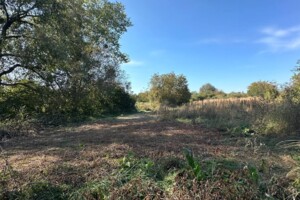 Земельна ділянка під житлову забудову в Луці-Мелешківській, площа 40 соток фото 2