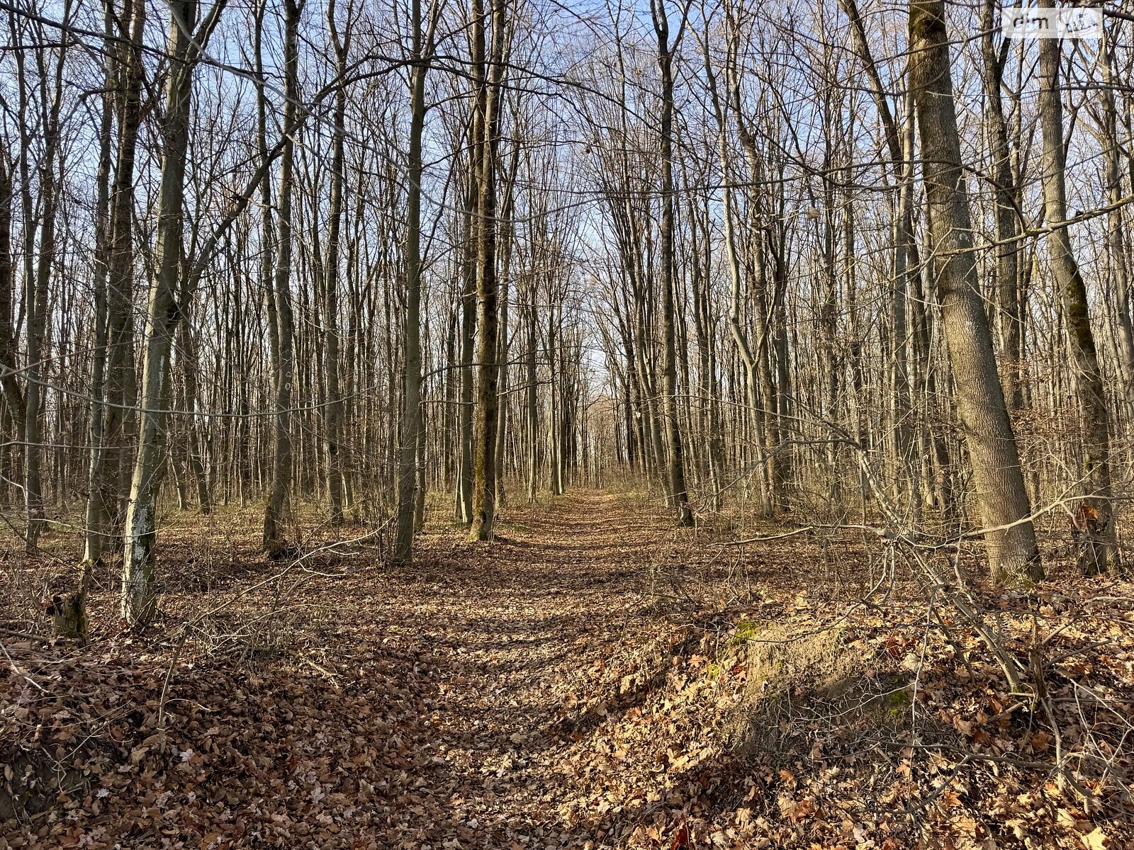 Земельный участок под жилую застройку в Стрижавке, площадь 12 соток фото 1