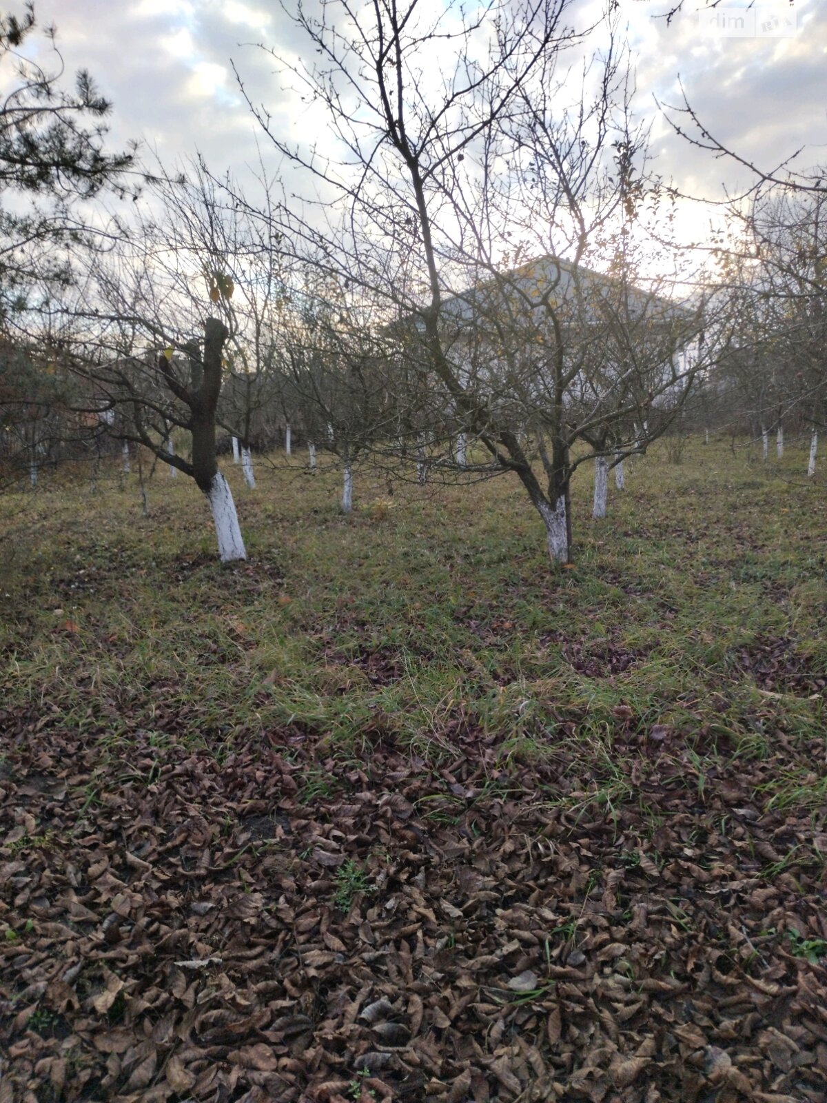 Земельна ділянка під житлову забудову в Вінниці, площа 9 соток фото 1 Земельна ділянка під житлову забудову в Вінниці, площа 9 соток фото 1