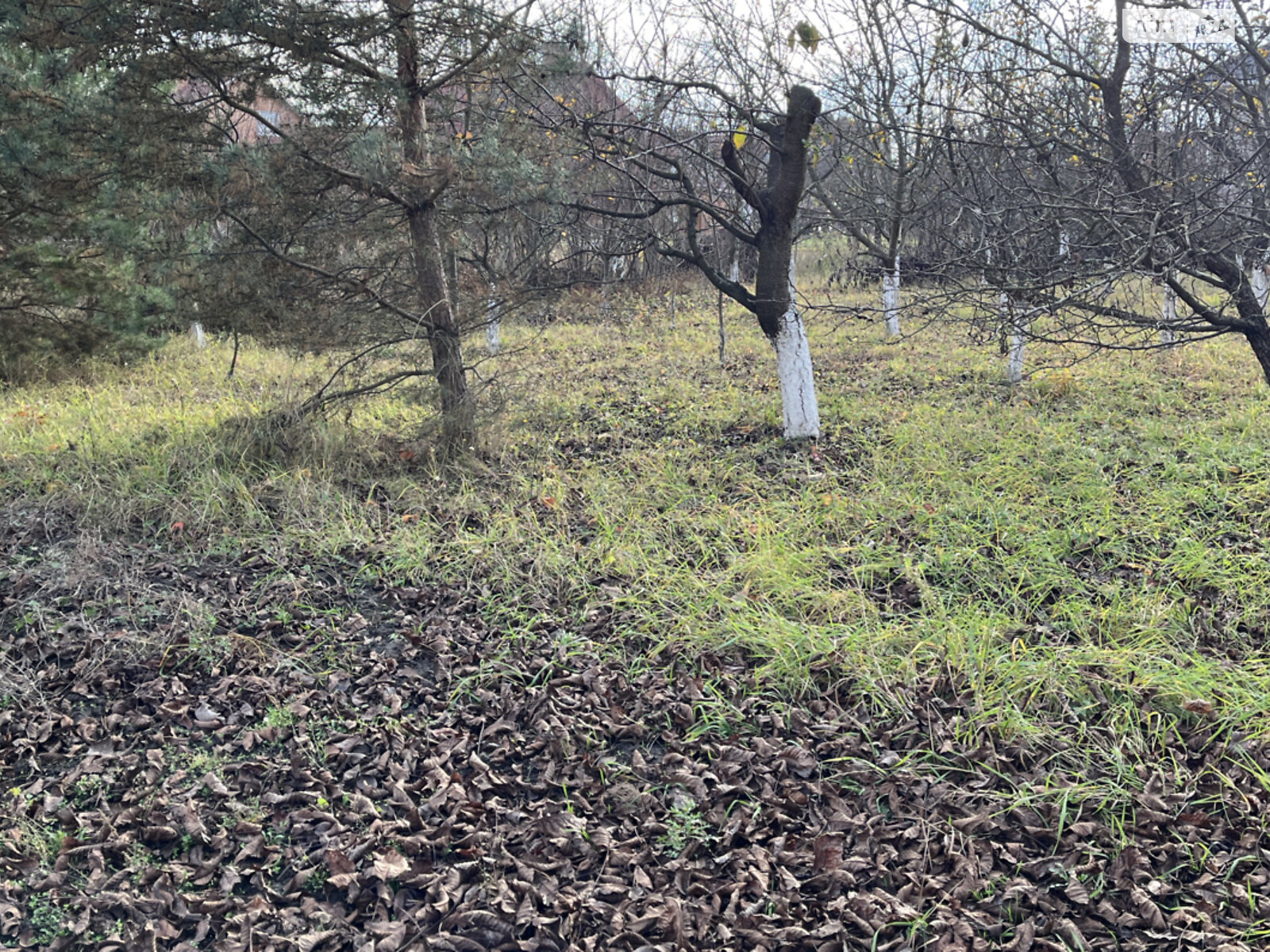 Земельна ділянка під житлову забудову в Вінниці, площа 9 соток фото 1