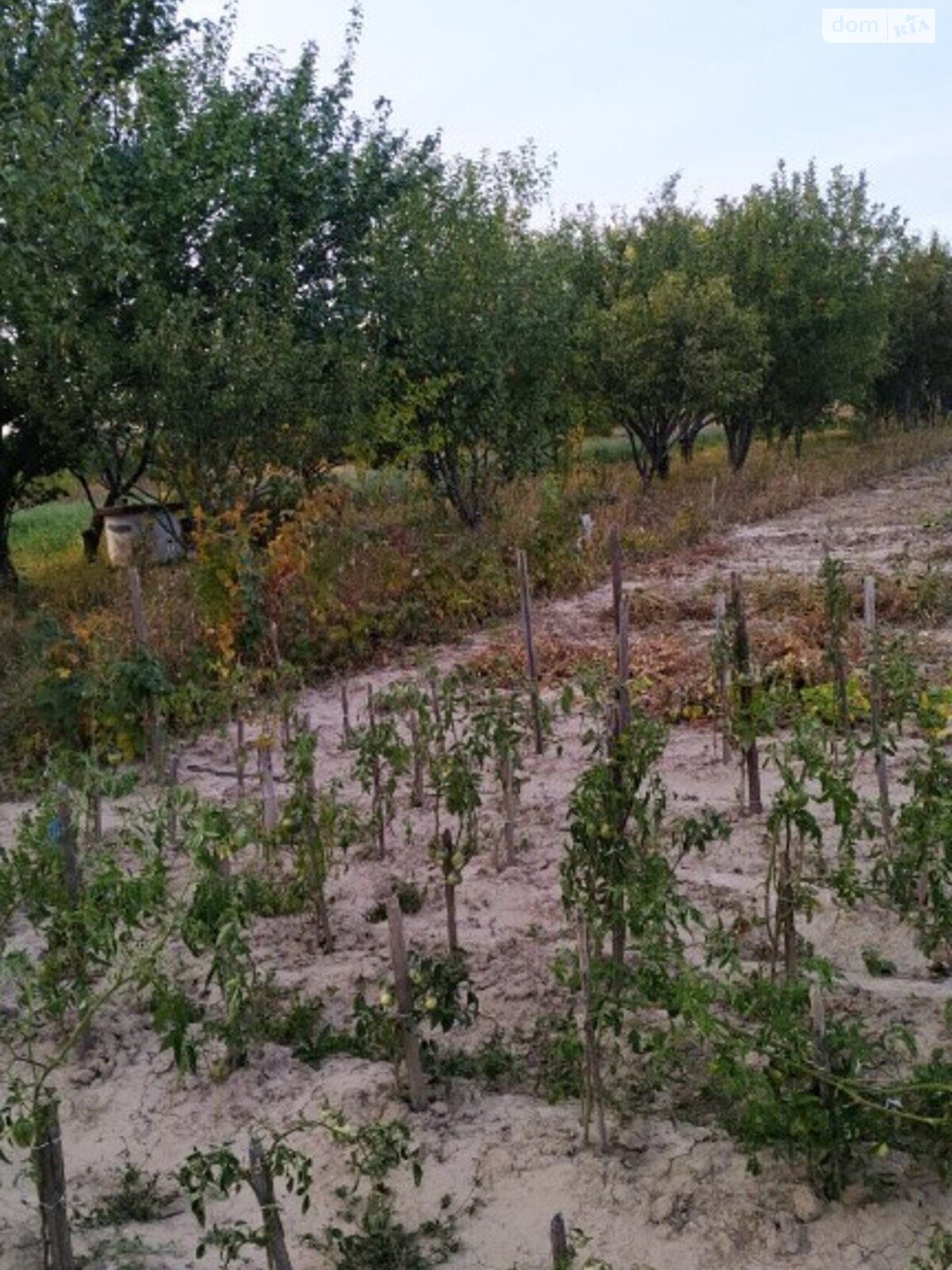 Земельна ділянка під житлову забудову в Парпурівцях, площа 20 соток фото 1