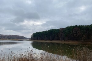 Земельный участок под жилую застройку в Прибужскому, площадь 200 соток фото 2