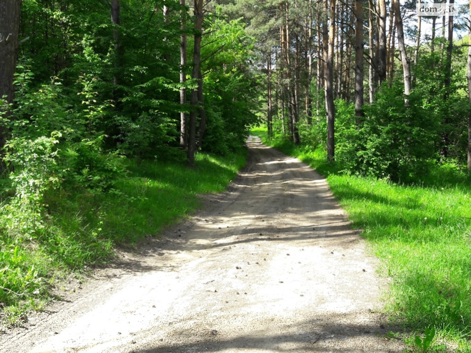 Земельна ділянка під житлову забудову в Прибузькому, площа 200 соток фото 1