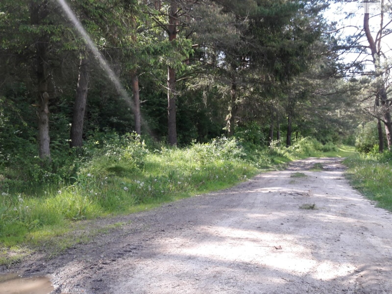 Земельна ділянка під житлову забудову в Прибузькому, площа 200 соток фото 1