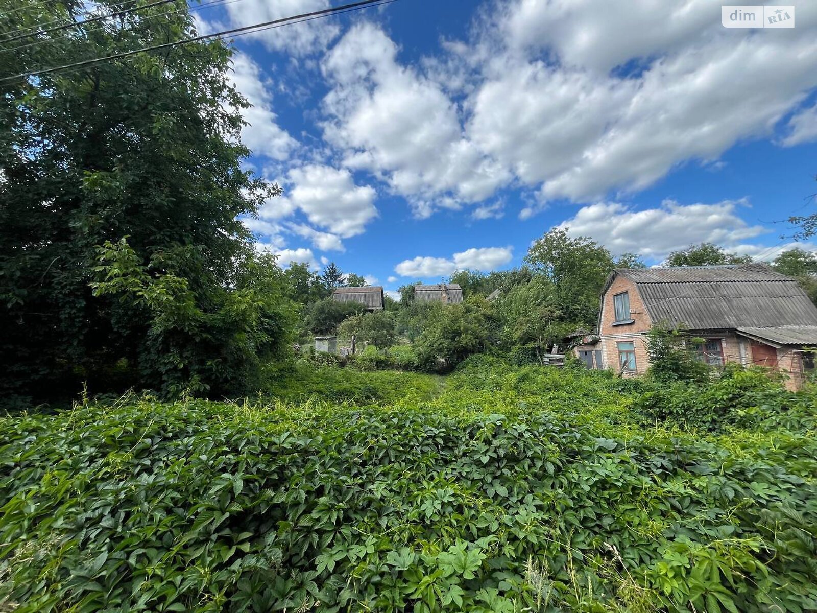 Земля под жилую застройку в Виннице, район Пятничаны, площадь 5 соток фото 1 Земля под жилую застройку в Виннице, район Пятничаны, площадь 5 соток фото 1