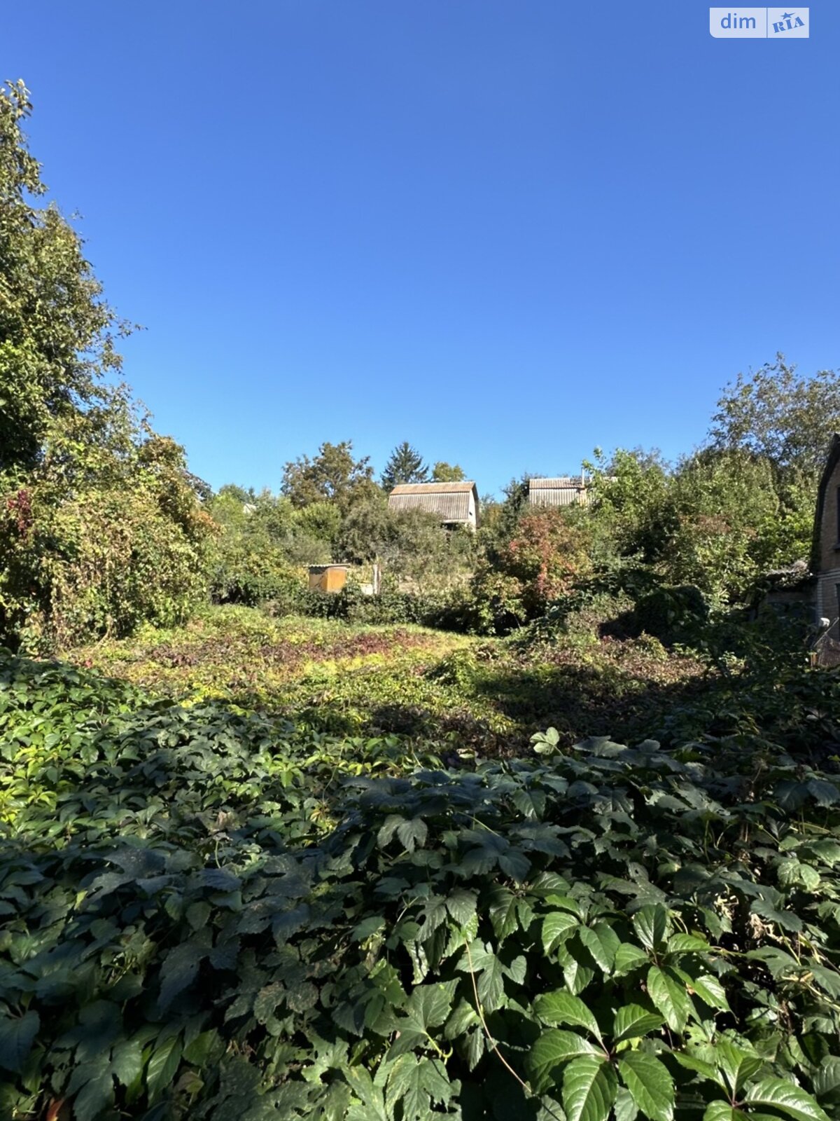 Земля під житлову забудову в Вінниці, район П’ятничани, площа 5 соток фото 1 Земля під житлову забудову в Вінниці, район П’ятничани, площа 5 соток фото 1