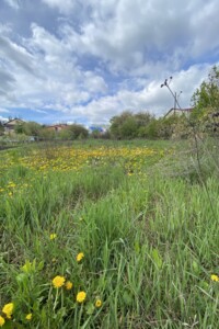 Земля під житлову забудову в Вінниці, район П’ятничани, площа 19 соток фото 2