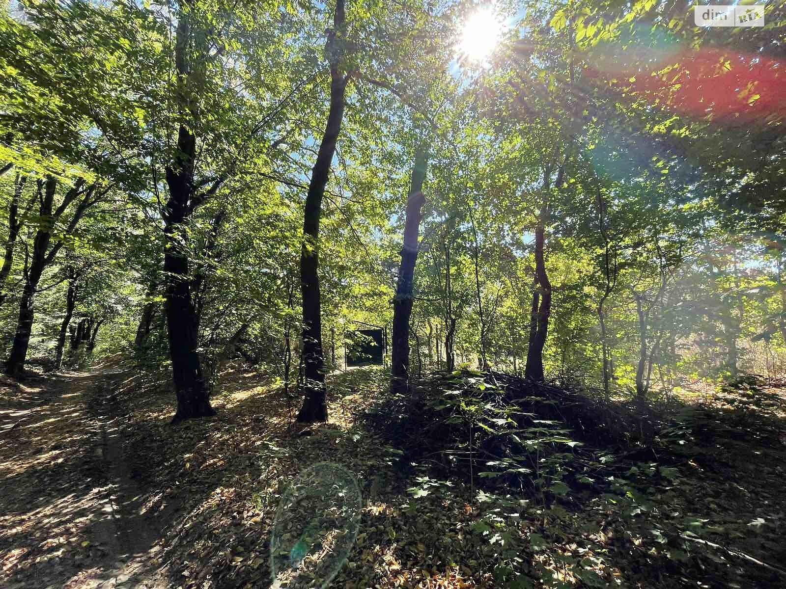 Земля під житлову забудову в Вінниці, район П’ятничани, площа 5.5 сотки фото 1 Земля під житлову забудову в Вінниці, район П’ятничани, площа 5.5 сотки фото 1