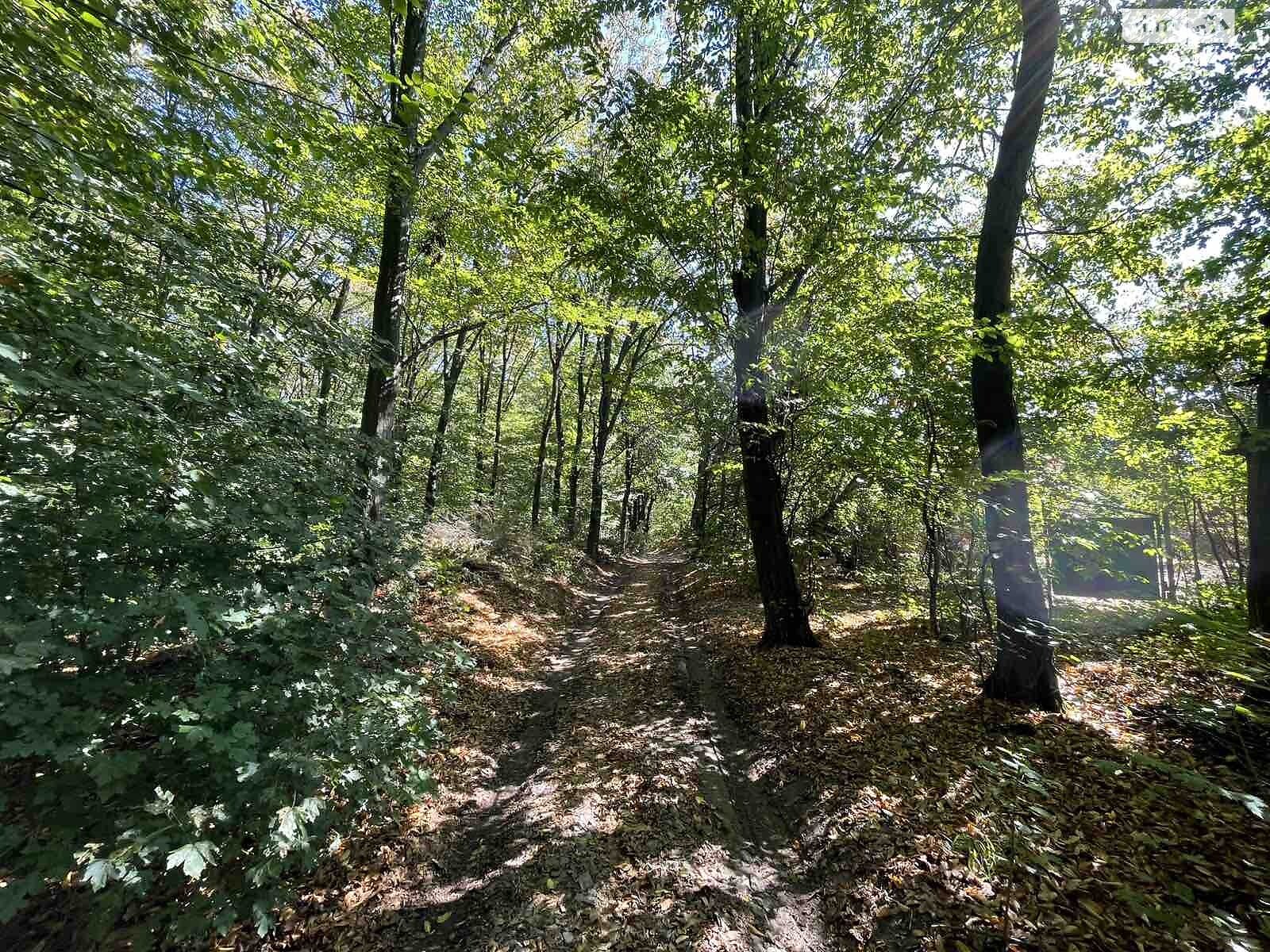 Земля під житлову забудову в Вінниці, район П’ятничани, площа 5.5 сотки фото 1 Земля під житлову забудову в Вінниці, район П’ятничани, площа 5.5 сотки фото 1