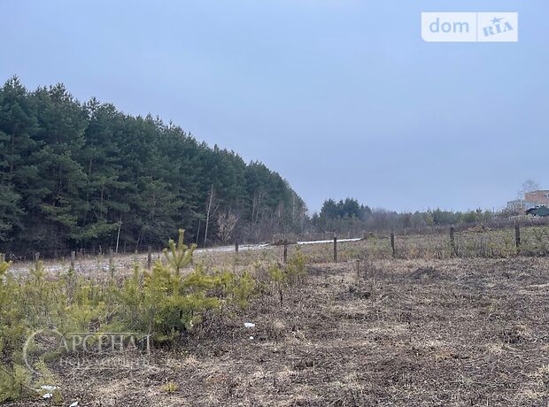 Земля під житлову забудову в селі Рівець, площа 25 соток фото 1 Земля під житлову забудову в селі Рівець, площа 25 соток фото 1