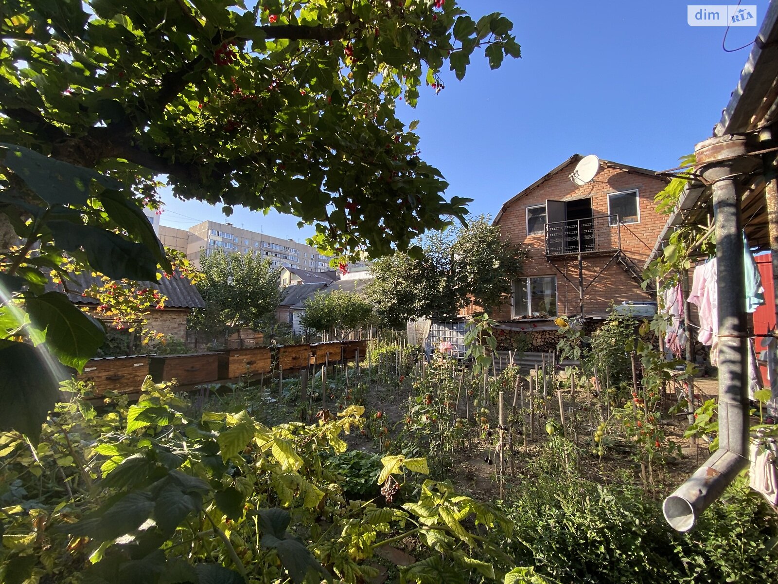 Земельна ділянка під житлову забудову в Вінниці, площа 9 соток фото 1 Земельна ділянка під житлову забудову в Вінниці, площа 9 соток фото 1