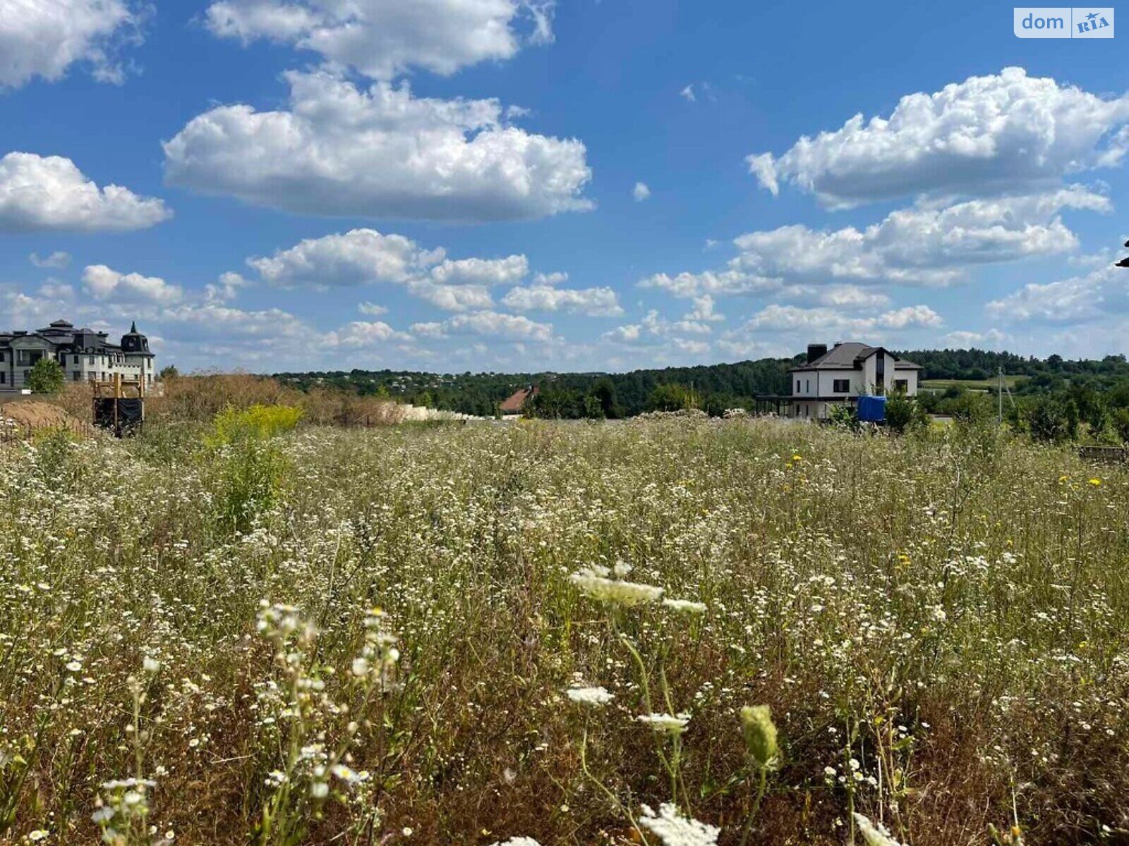 Земельна ділянка під житлову забудову в Шкуринцях, площа 20 соток фото 1