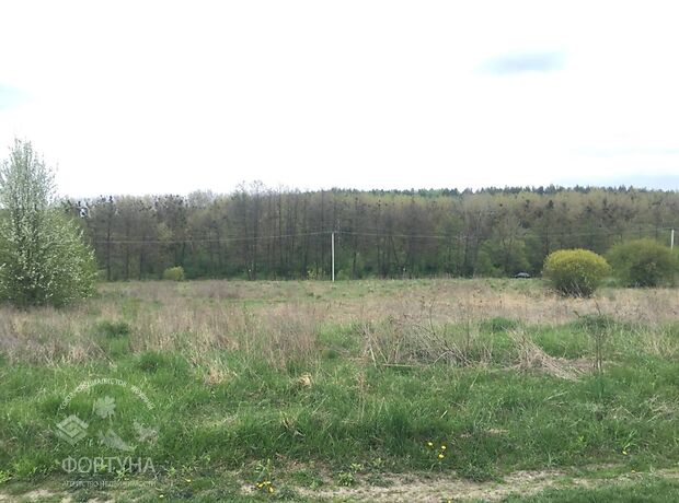 Земля під житлову забудову в селі Шкуринці, площа 13 соток фото 1 Земля під житлову забудову в селі Шкуринці, площа 13 соток фото 1