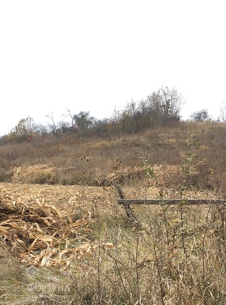 Земля під житлову забудову в селі Шкуринці, площа 13 соток фото 1 Земля під житлову забудову в селі Шкуринці, площа 13 соток фото 1