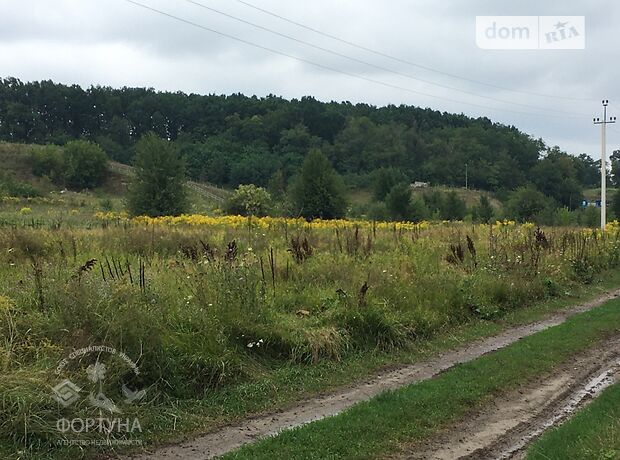 Земля під житлову забудову в селі Шкуринці, площа 13 соток фото 1 Земля під житлову забудову в селі Шкуринці, площа 13 соток фото 1