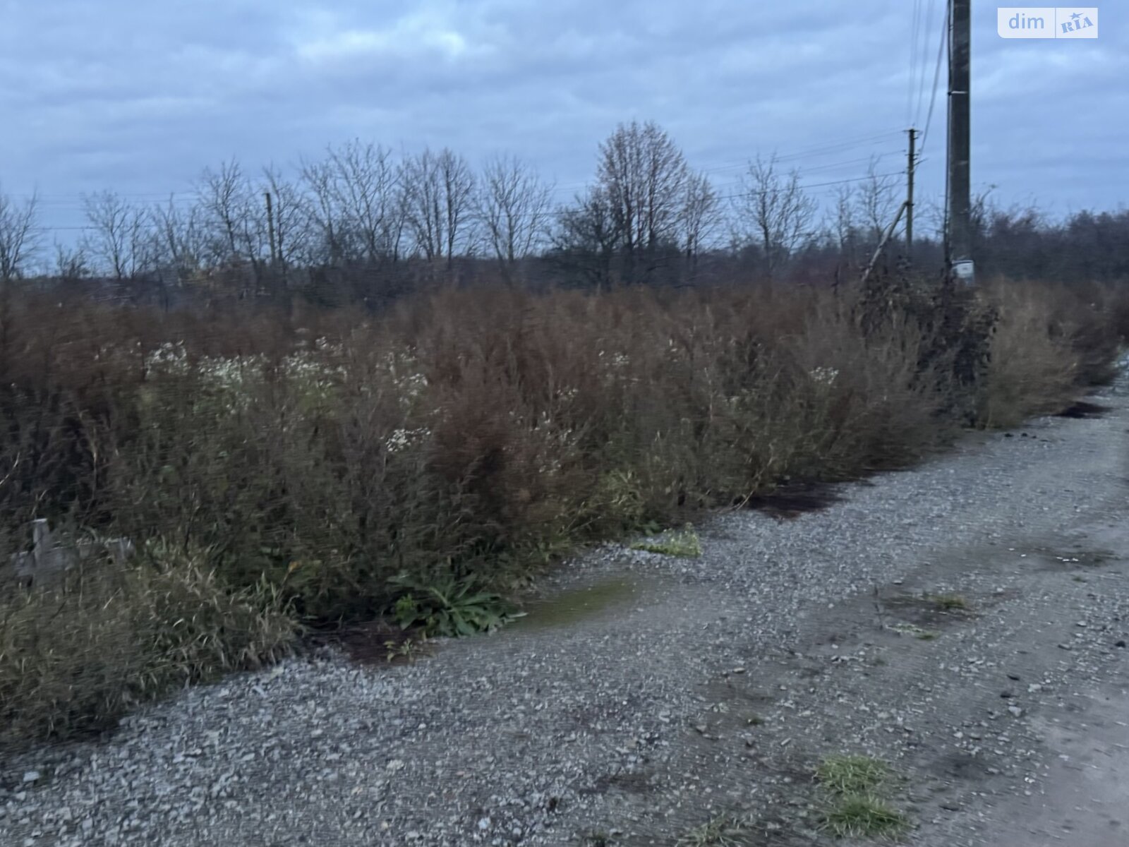 Земельный участок под жилую застройку в Виннице, площадь 24 сотки фото 1