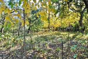 Земля під житлову забудову в Вінниці, район Старе місто, площа 22 сотки фото 2