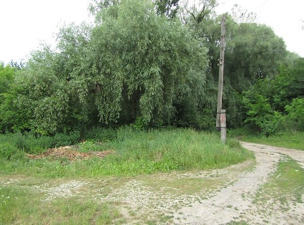Земля под жилую застройку в Виннице, район Старый город, площадь 30 соток фото 1 Земля под жилую застройку в Виннице, район Старый город, площадь 30 соток фото 1