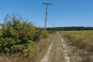 Земля під житлову забудову в Вінниці, район Старе місто, площа 2 Га фото 2