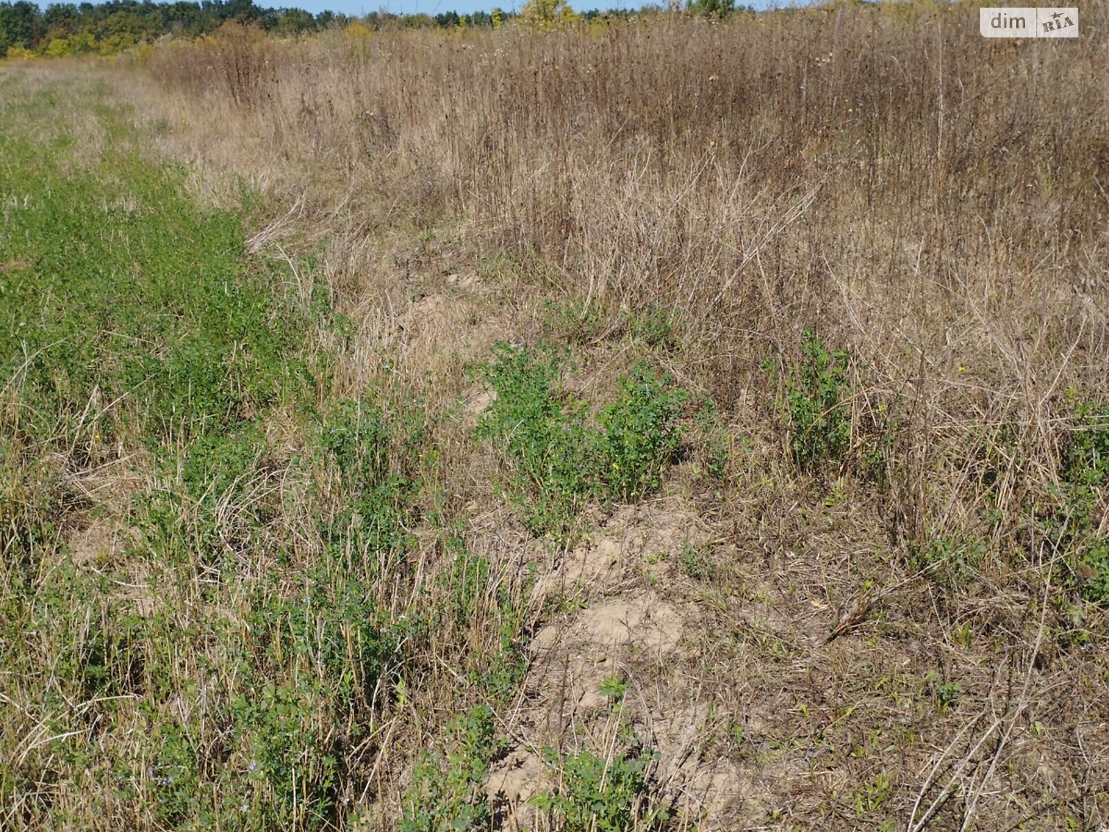 Земля під житлову забудову в Вінниці, район Старе місто, площа 2 Га фото 1