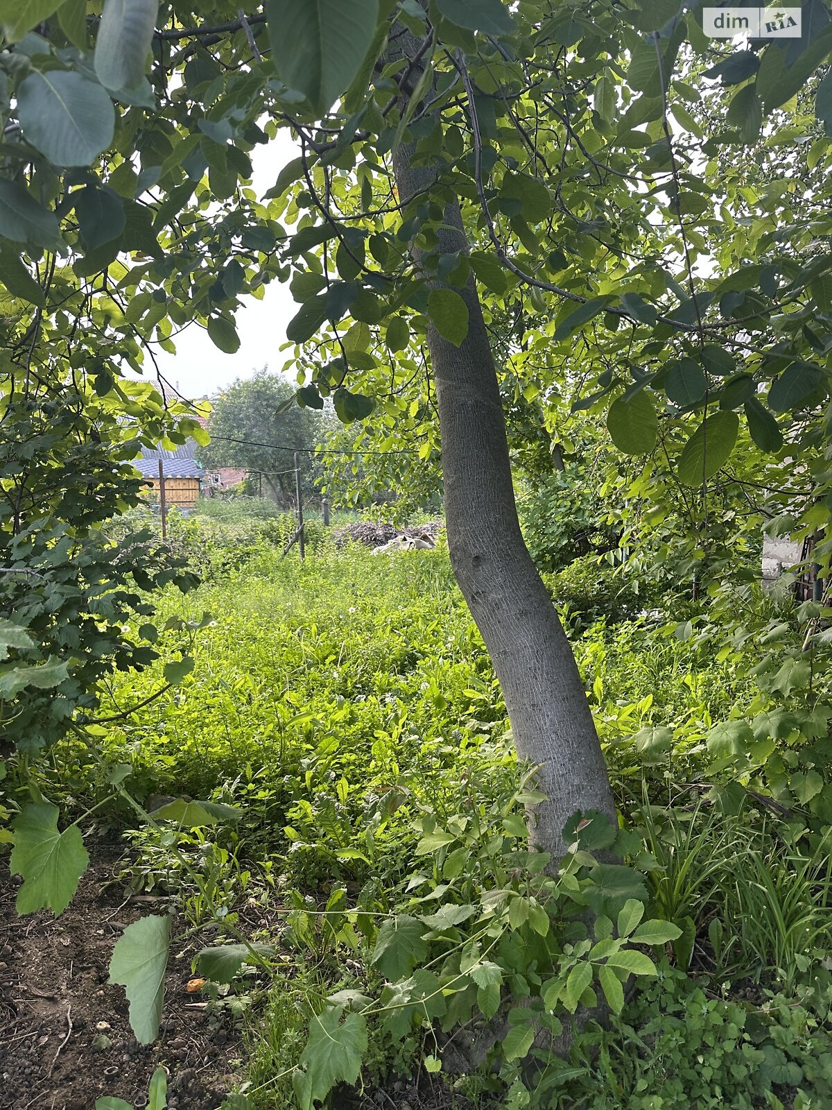 Земля під житлову забудову в Вінниці, район Старе місто, площа 7.24 сотки фото 1 Земля під житлову забудову в Вінниці, район Старе місто, площа 7.24 сотки фото 1
