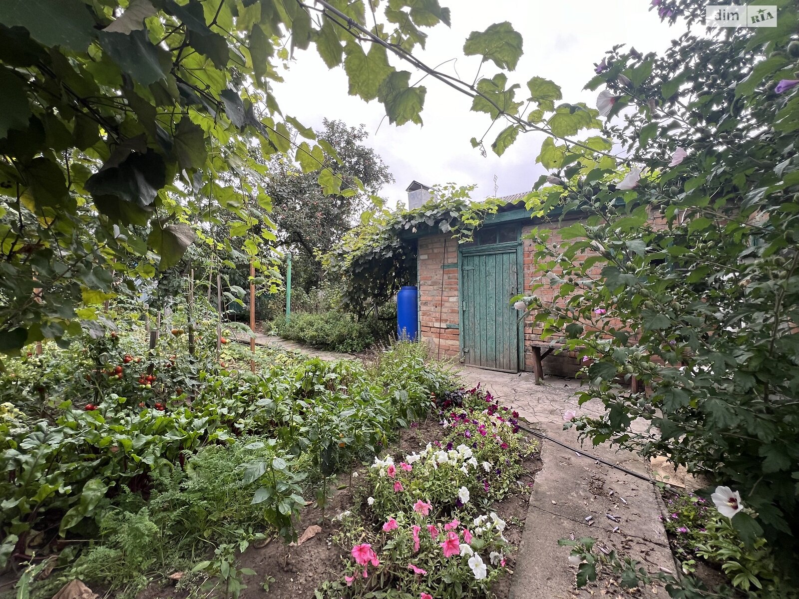 Земля під житлову забудову в Вінниці, район Старе місто, площа 7.39 сотки фото 1 Земля під житлову забудову в Вінниці, район Старе місто, площа 7.39 сотки фото 1