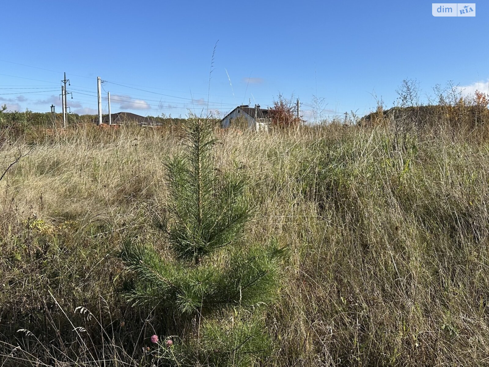 Земля під житлову забудову в Вінниці, район Старе місто, площа 10 соток фото 1