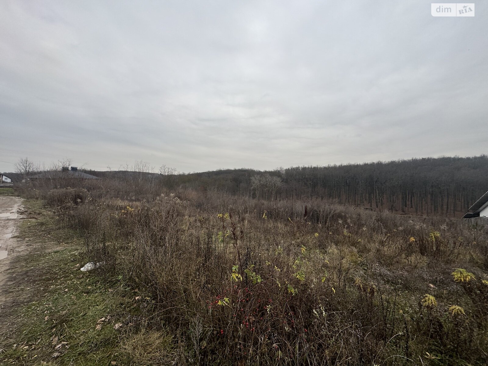 Земля под жилую застройку в Виннице, район Старый город, площадь 18.89 сотки фото 1 Земля под жилую застройку в Виннице, район Старый город, площадь 18.89 сотки фото 1