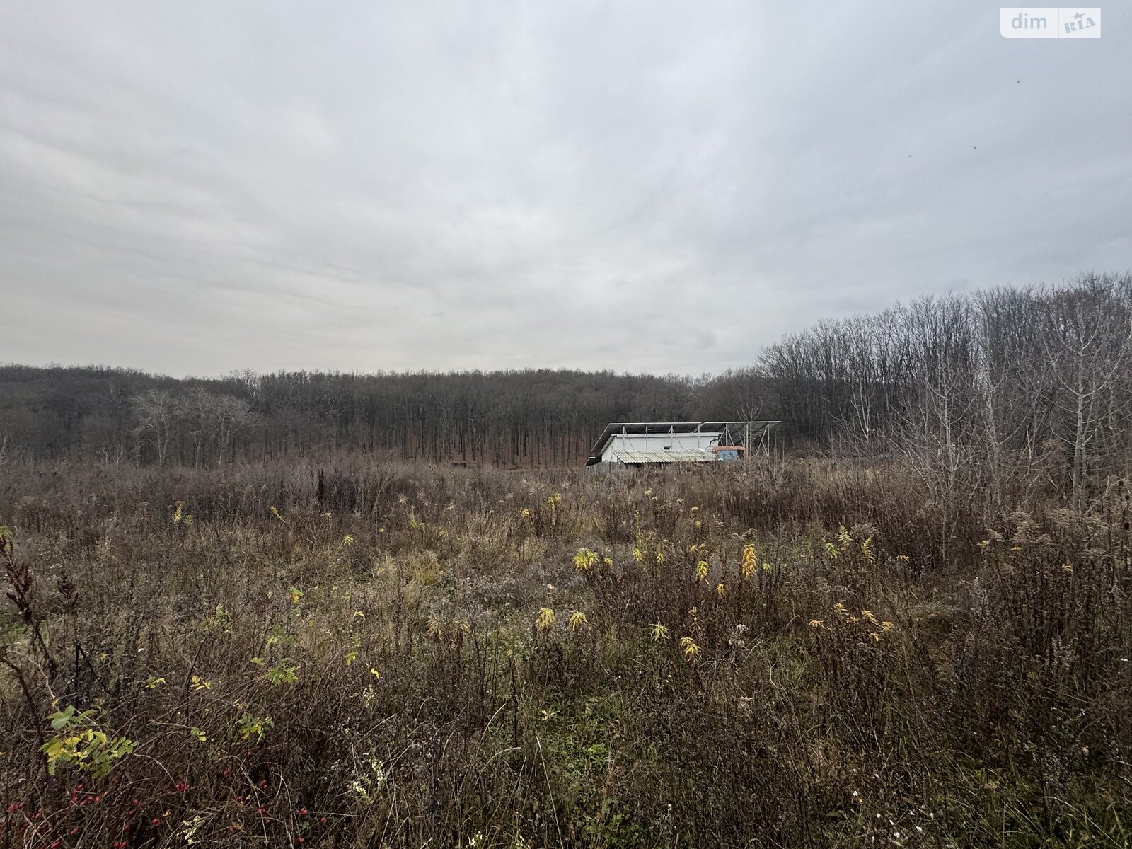 Земля под жилую застройку в Виннице, район Старый город, площадь 18.89 сотки фото 1 Земля под жилую застройку в Виннице, район Старый город, площадь 18.89 сотки фото 1