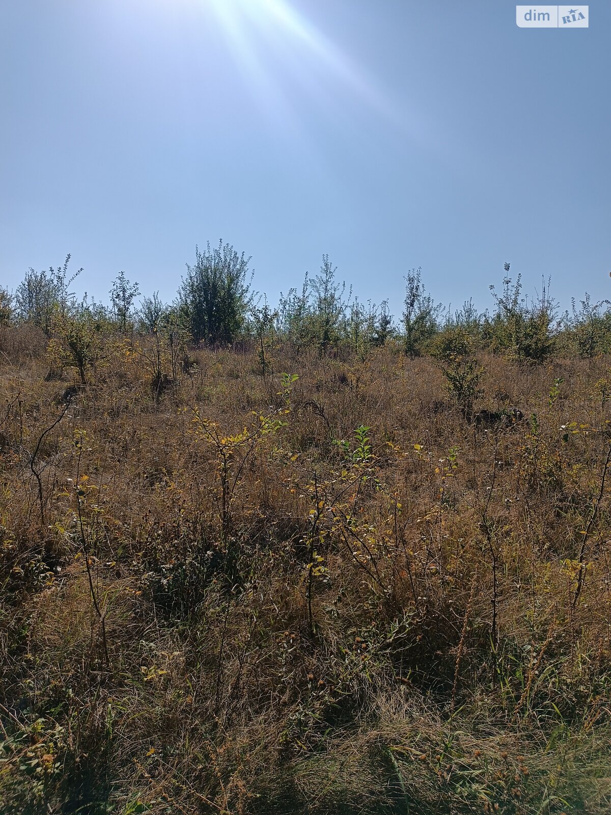 Земля під житлову забудову в Вінниці, район Старе місто, площа 7 соток фото 1 Земля під житлову забудову в Вінниці, район Старе місто, площа 7 соток фото 1