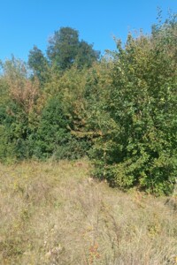 Земля під житлову забудову в Вінниці, район Старе місто, площа 7 соток фото 2
