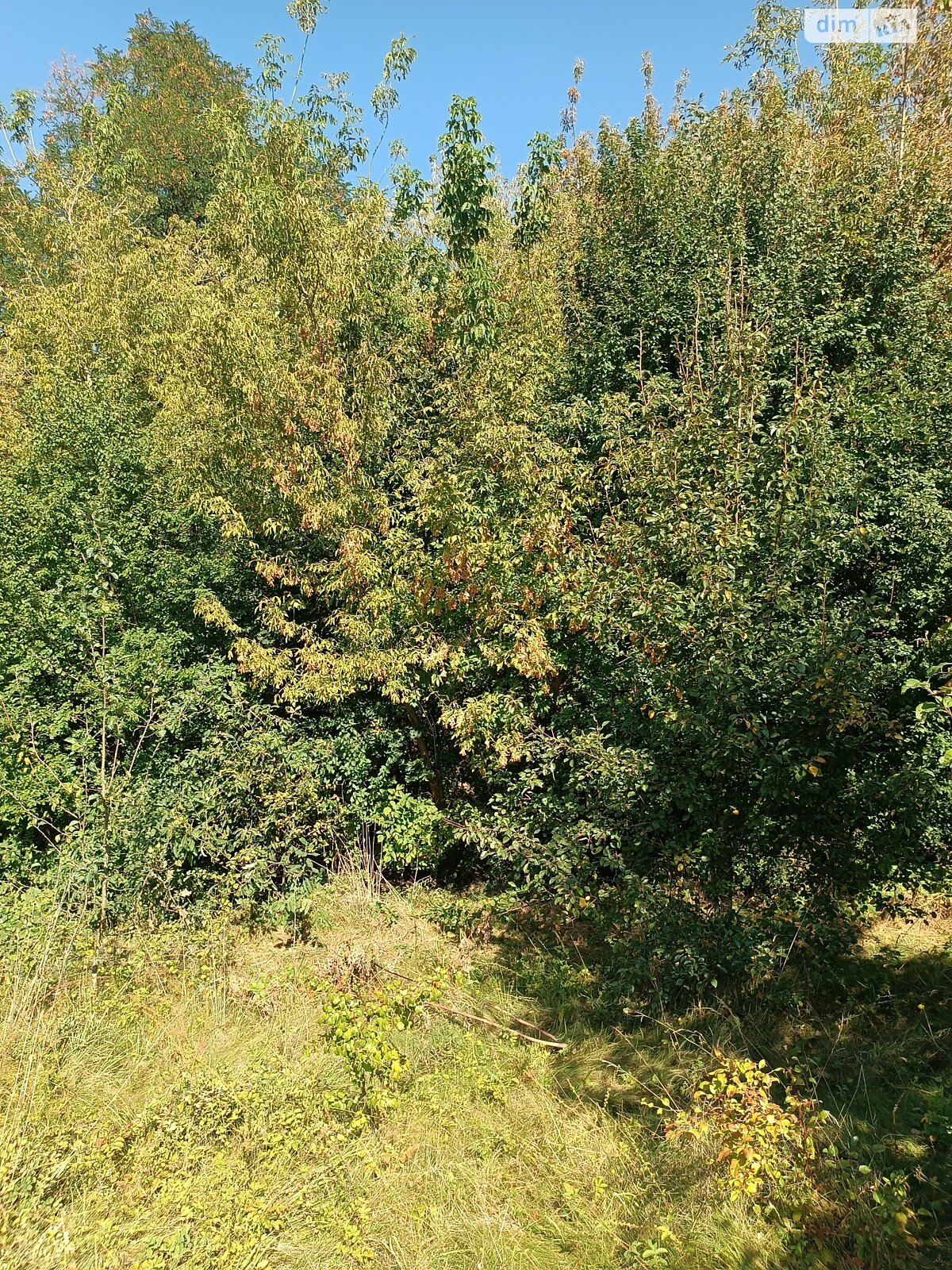 Земля під житлову забудову в Вінниці, район Старе місто, площа 7 соток фото 1 Земля під житлову забудову в Вінниці, район Старе місто, площа 7 соток фото 1