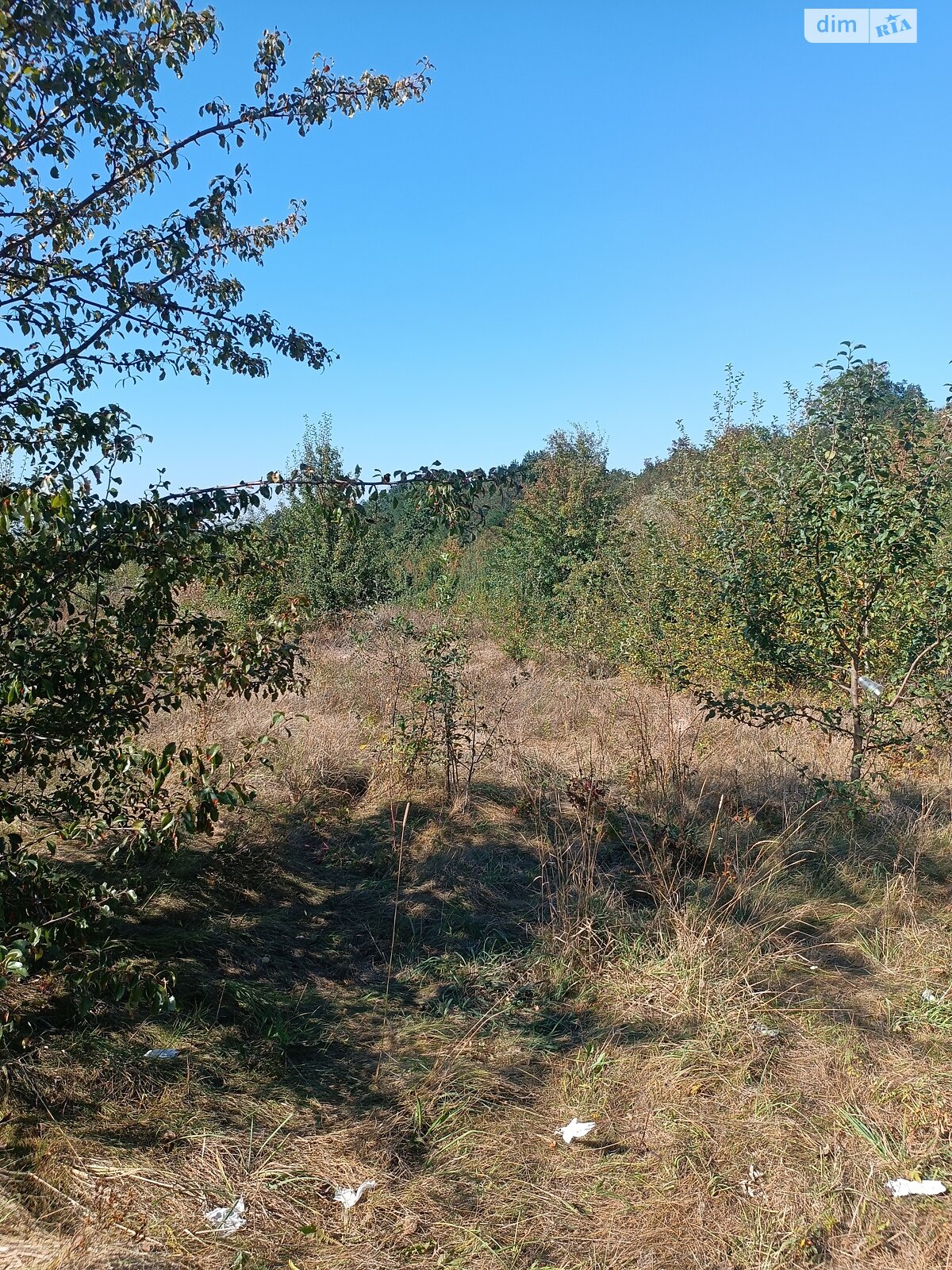 Земля під житлову забудову в Вінниці, район Старе місто, площа 7 соток фото 1 Земля під житлову забудову в Вінниці, район Старе місто, площа 7 соток фото 1