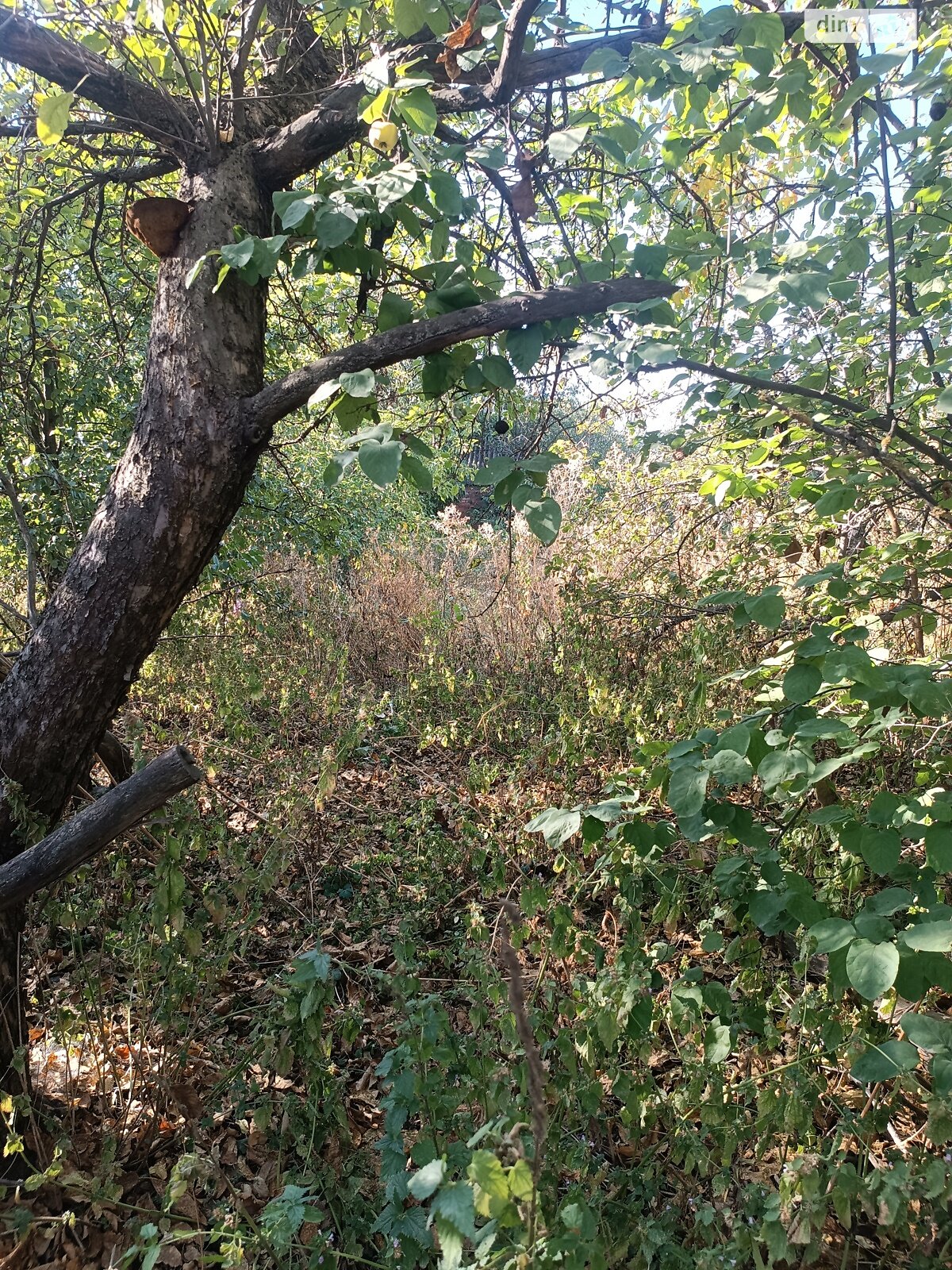 Земля під житлову забудову в Вінниці, район Старе місто, площа 7 соток фото 1 Земля під житлову забудову в Вінниці, район Старе місто, площа 7 соток фото 1