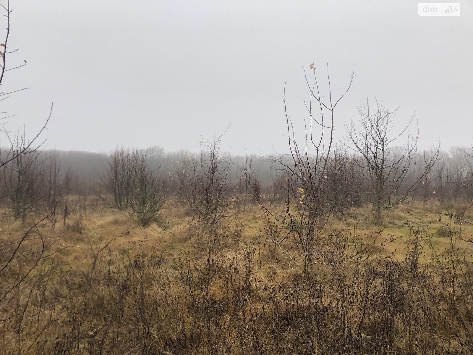 Земля під житлову забудову в Вінниці, район Старе місто, площа 6 соток фото 1