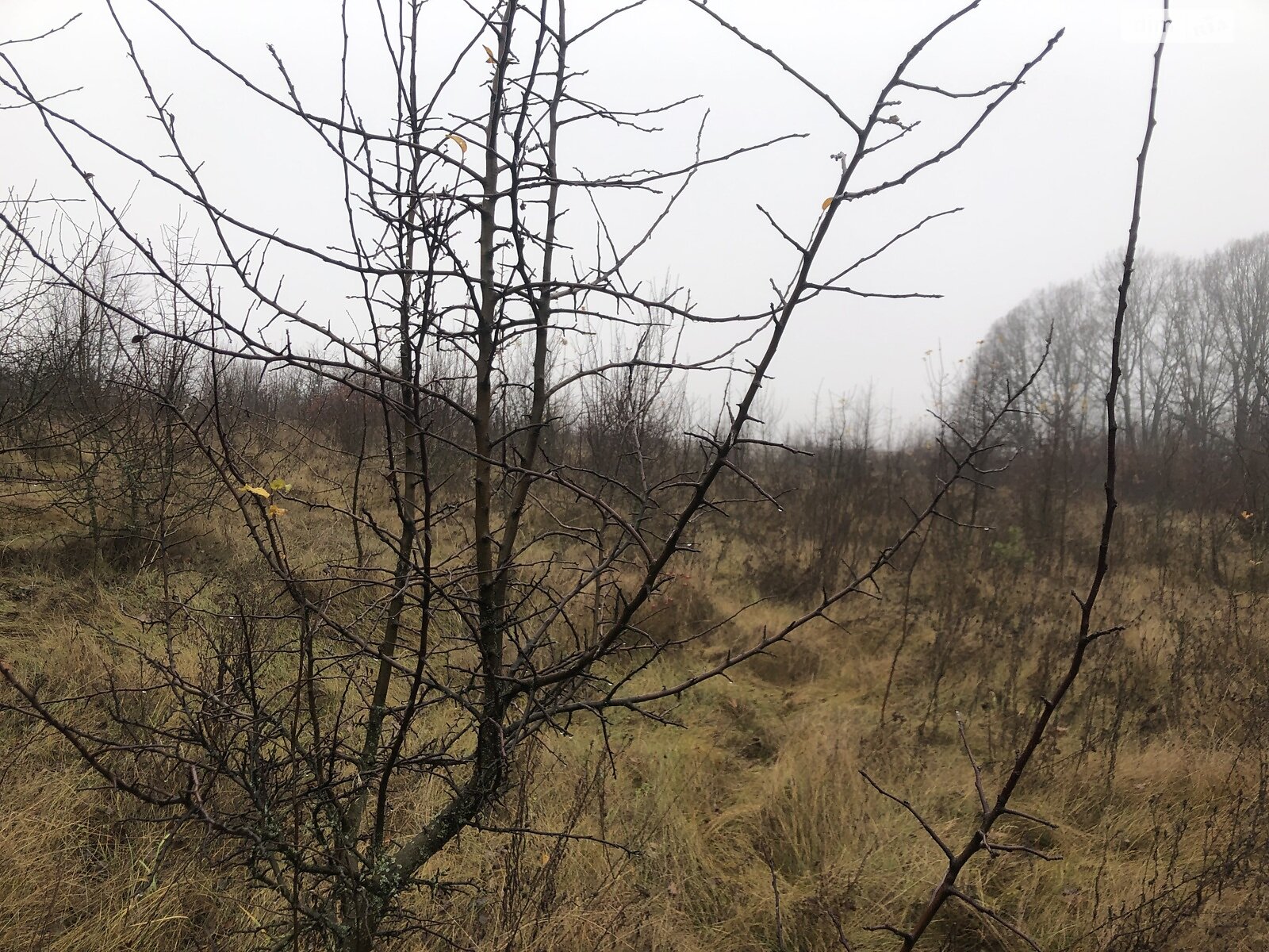 Земля під житлову забудову в Вінниці, район Старе місто, площа 6 соток фото 1