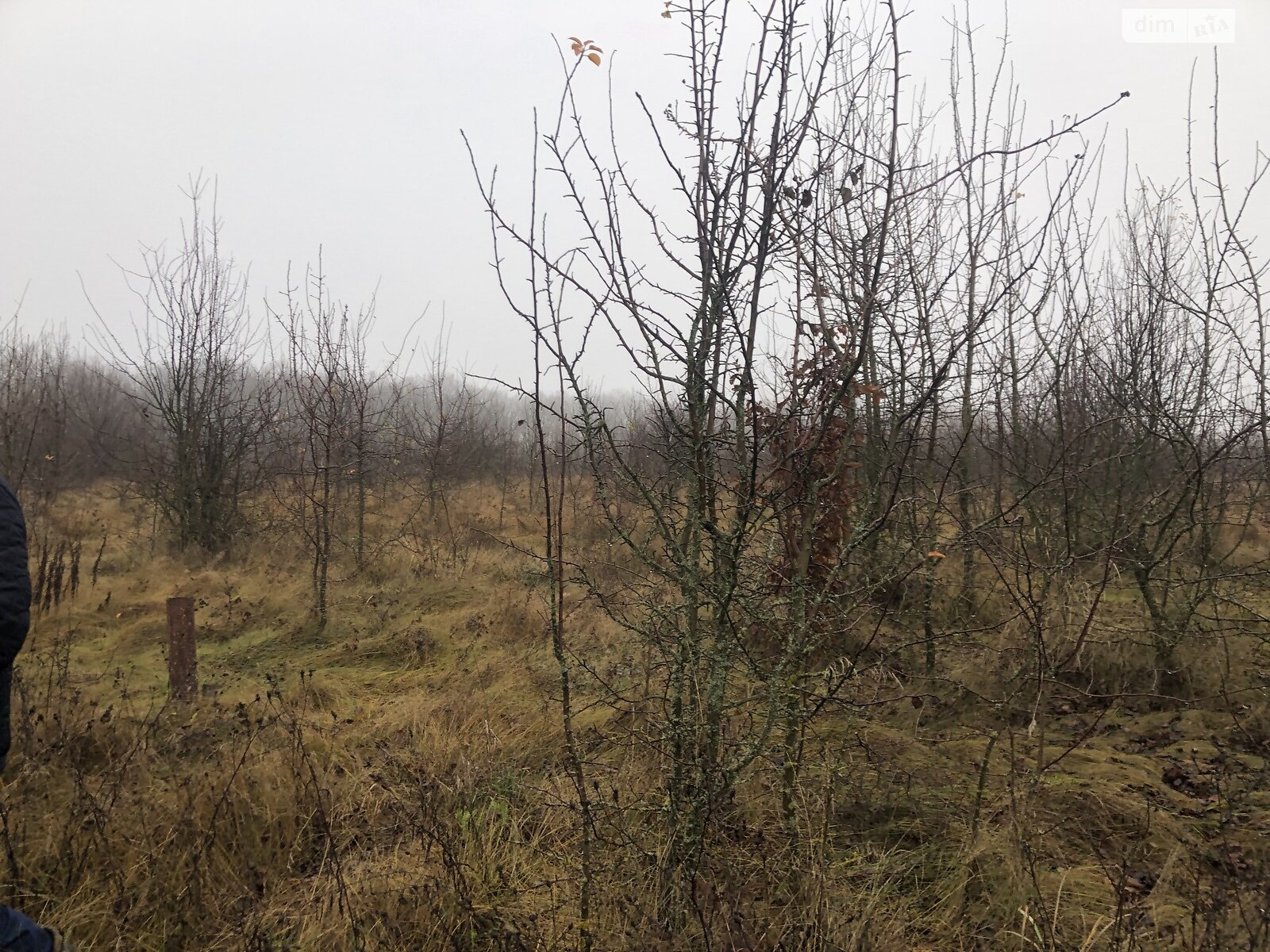 Земля під житлову забудову в Вінниці, район Старе місто, площа 6 соток фото 1