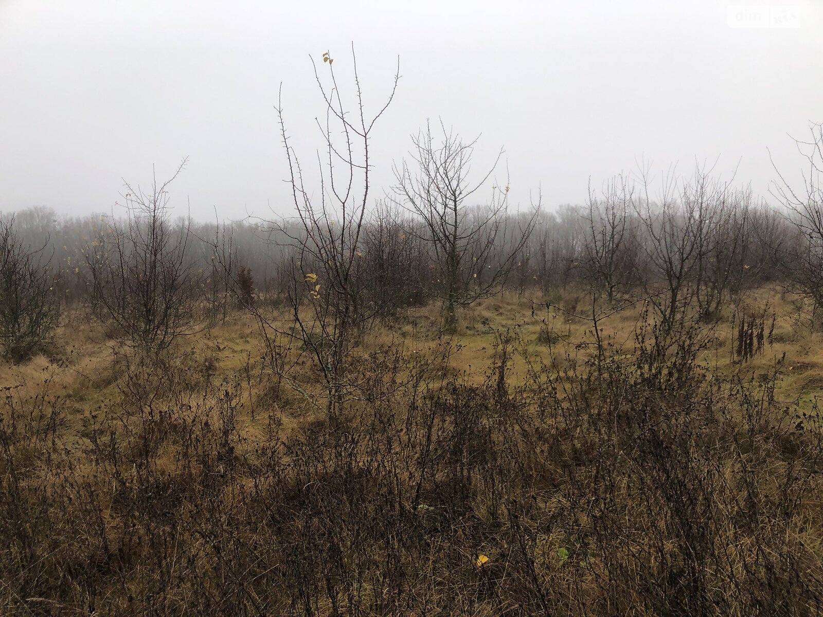 Земля під житлову забудову в Вінниці, район Старе місто, площа 6 соток фото 1