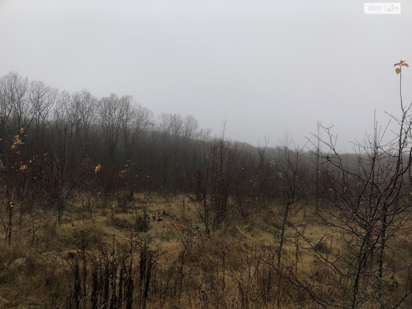 Земля під житлову забудову в Вінниці, район Старе місто, площа 6 соток фото 1