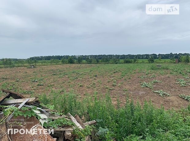 Земля під житлову забудову в селі Стрижавка, площа 15 соток фото 1 Земля під житлову забудову в селі Стрижавка, площа 15 соток фото 1