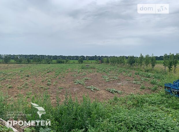 Земля під житлову забудову в селі Стрижавка, площа 15 соток фото 1 Земля під житлову забудову в селі Стрижавка, площа 15 соток фото 1