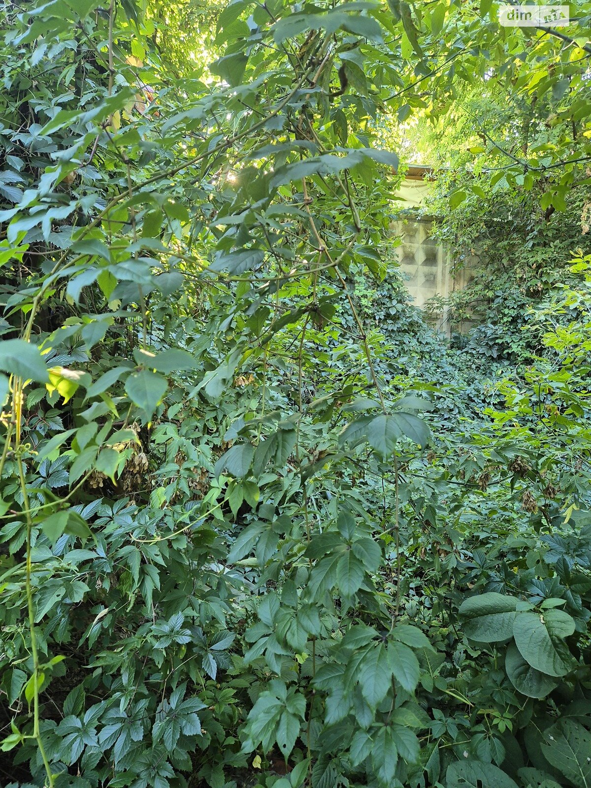 Земля під житлову забудову в Вінниці, район Центр, площа 4.5 сотки фото 1