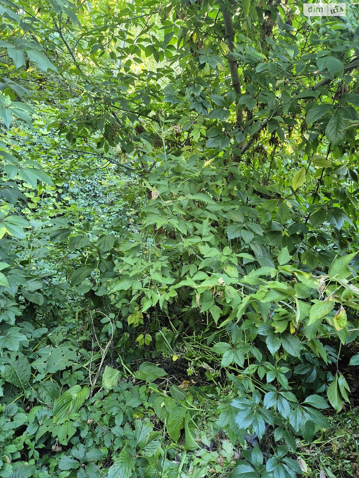 Земля під житлову забудову в Вінниці, район Центр, площа 4.5 сотки фото 1