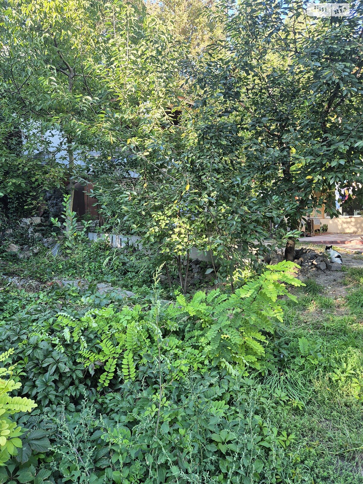 Земля під житлову забудову в Вінниці, район Центр, площа 4.5 сотки фото 1