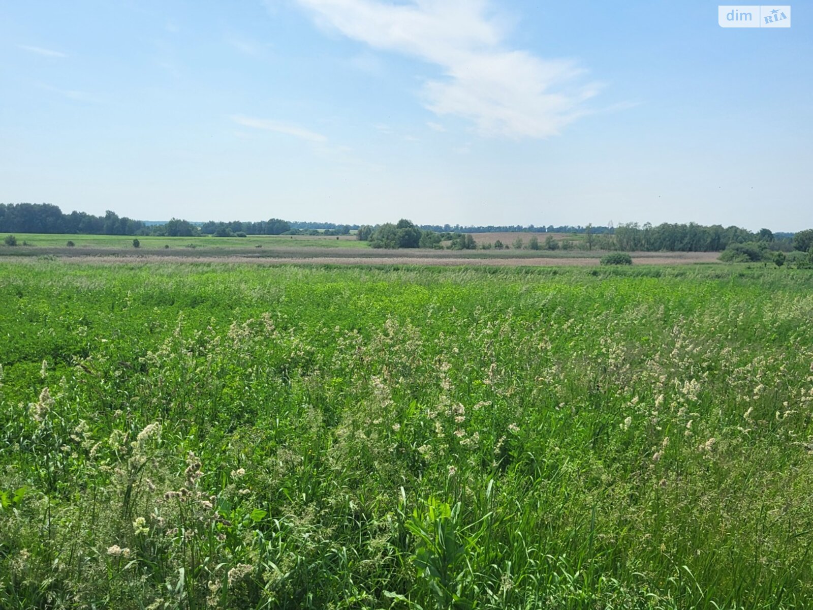 Земля під житлову забудову в Вінниці, район тип предложения, площа 8.63 сотки фото 1