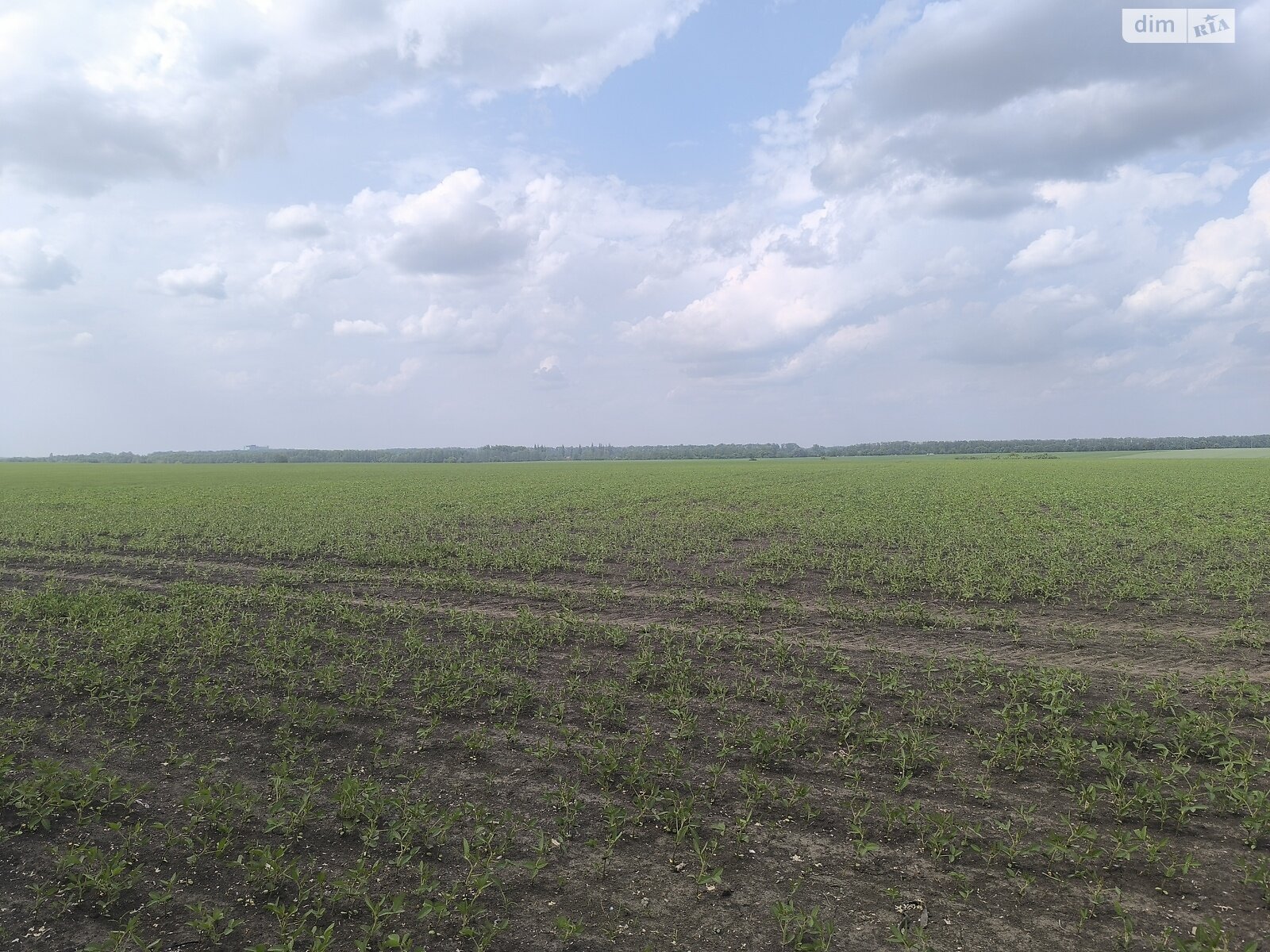 Земля під житлову забудову в Вінниці, район Тяжилів, площа 184 сотки фото 1 Земля під житлову забудову в Вінниці, район Тяжилів, площа 184 сотки фото 1