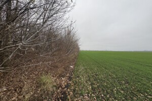 Земля під житлову забудову в Вінниці, район Тяжилів, площа 5 соток фото 2